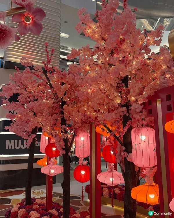 很喜歡吃翠園的蘿蔔糕，多個大商場約都有美麗的過年打卡位，大受...