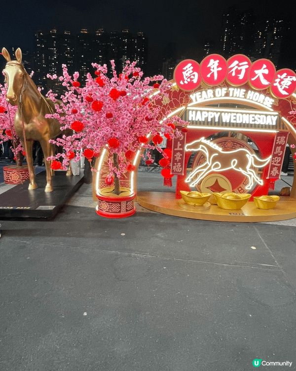 到跑馬地馬場行個大運，試吓手氣同運氣