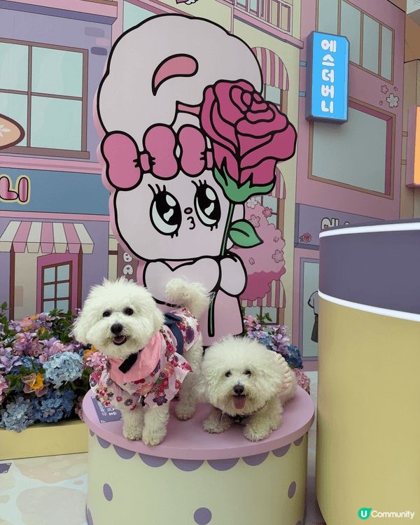 嚟緊就嚟新年，同埋情人節我哋去咗寶琳嘅MCP商場嗰度打卡，着...