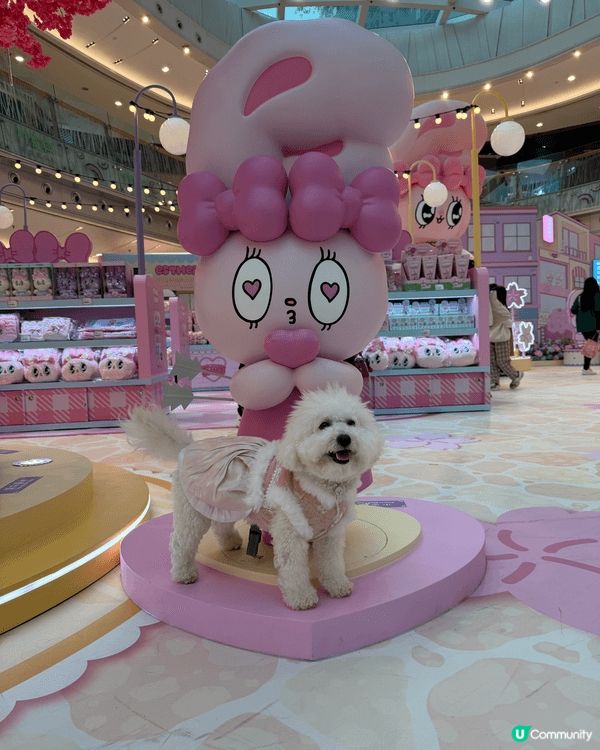 嚟緊就嚟新年，同埋情人節我哋去咗寶琳嘅MCP商場嗰度打卡，着...