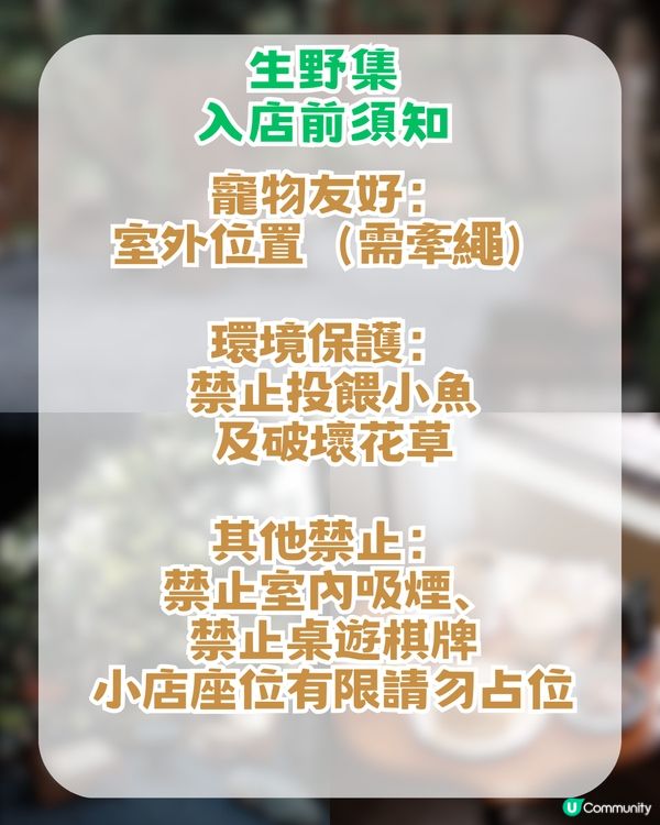 深圳5大必去勁Chill餐廳cafe！ 靚到以為去咗世外桃源✨ 最低消費15起!