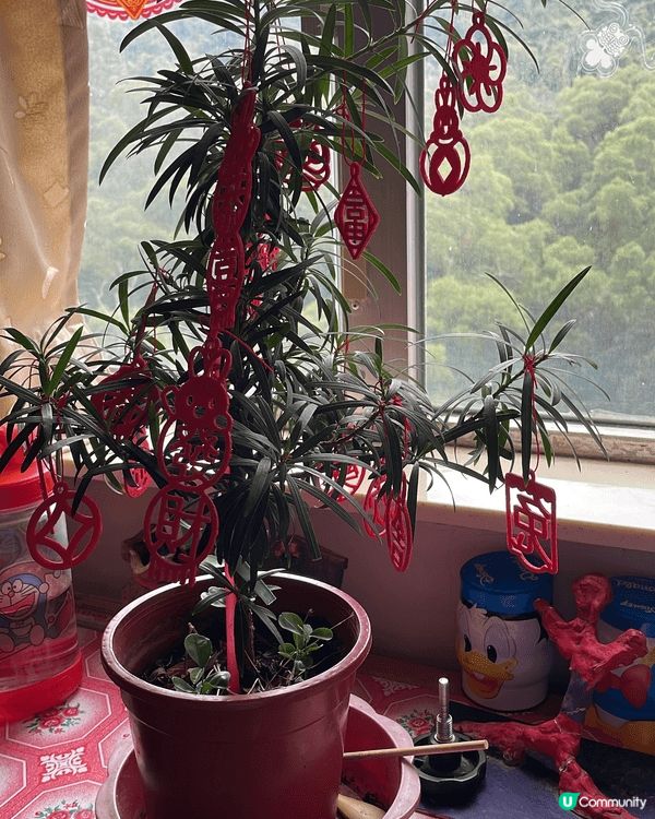 這是每年農曆新年都會有的年宵攤檔打卡位，有應節的花蕊及應節的...