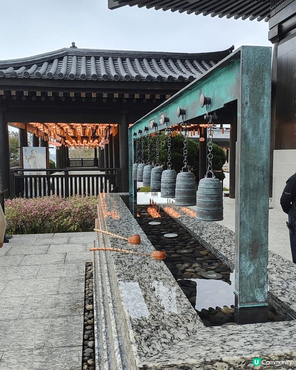 農曆新年大埔慈山寺增添咗唔少新年裝飾，另外寺內亦可賞桃花