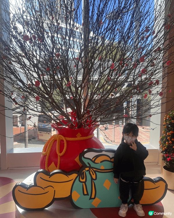 新年當然要同靚靚桃花樹影相啦！我哋就去咗荃灣廣場空中樂園打卡...