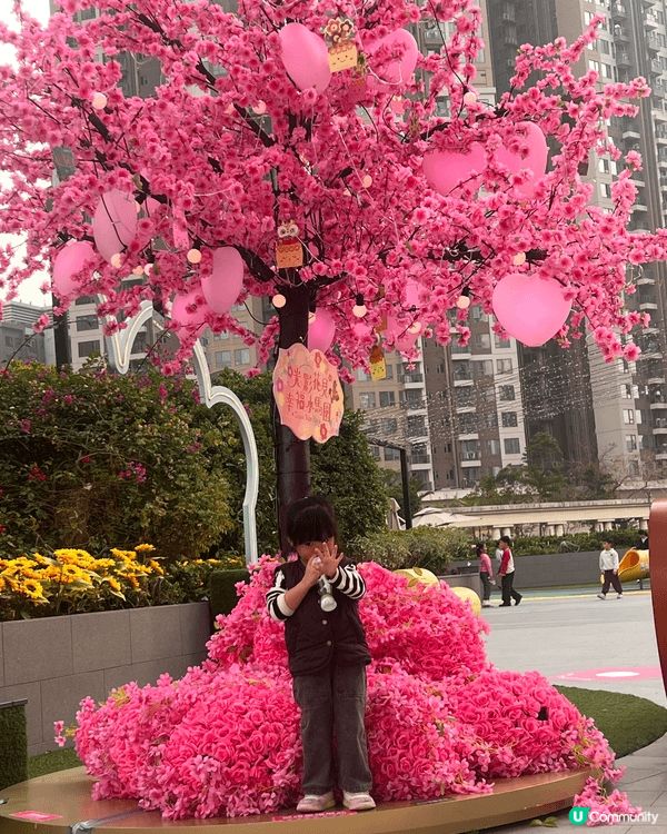 新年當然要同靚靚桃花樹影相啦！我哋就去咗荃灣廣場空中樂園打卡...
