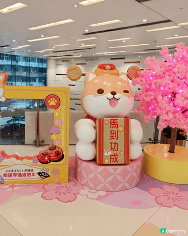 今個新年節日氣氛很濃厚， mikiki 商場已經佈置得好靚，...