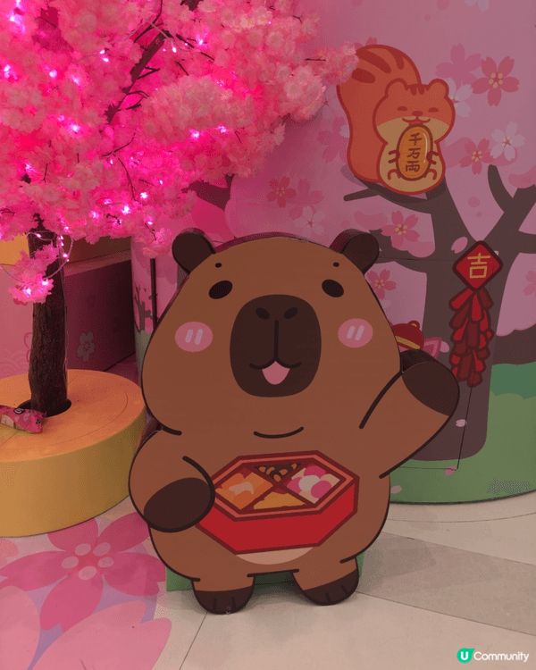 今個新年節日氣氛很濃厚， mikiki 商場已經佈置得好靚，...