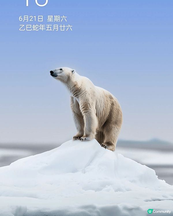 何時.何地.何物.