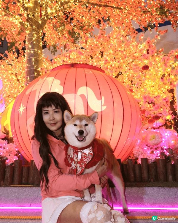 所有新年氣氛嘅黃埔, 同狗狗一齊影相打咭. 佢哋係我嘅家人....