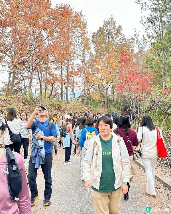 在深圳食啫啫菜，有啫啫蜆，啫啫椰菜花好好味！