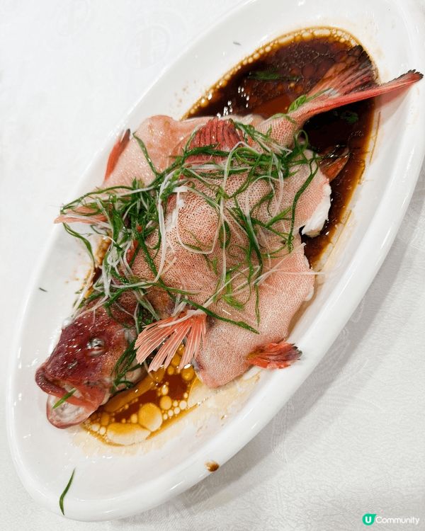 深圳海鮮街必吃 原隻帝皇蟹極鮮味