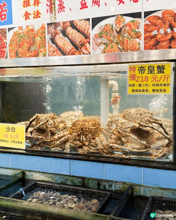 深圳海鮮街必吃 原隻帝皇蟹極鮮味