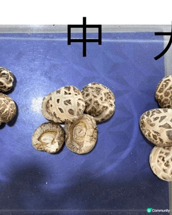 新年禮品