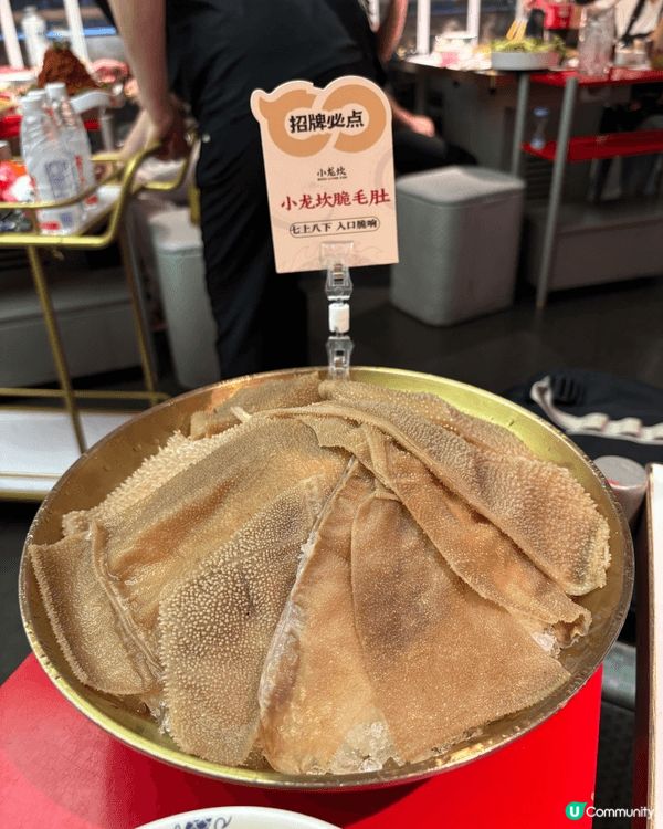 成都火鍋探店:小龙坎火鍋🔥