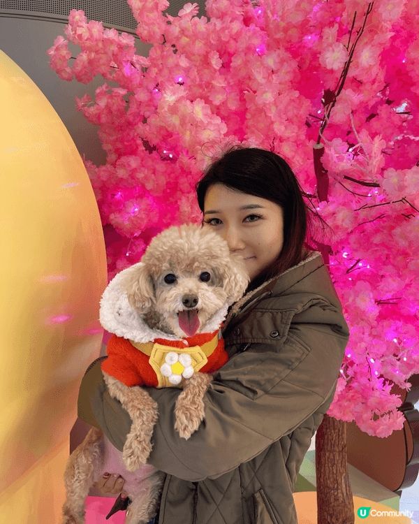 假日同我隻汪汪肥妹去左Mikiki 影靚靚相❤️