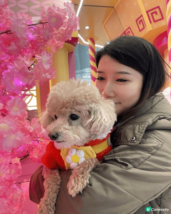 假日同我隻汪汪肥妹去左Mikiki 影靚靚相❤️