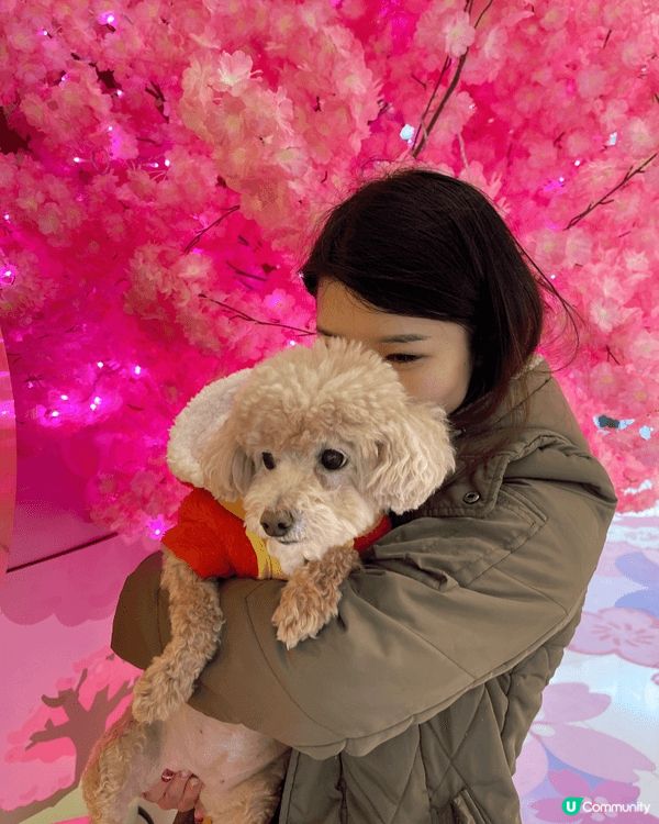 假日同我隻汪汪肥妹去左Mikiki 影靚靚相❤️