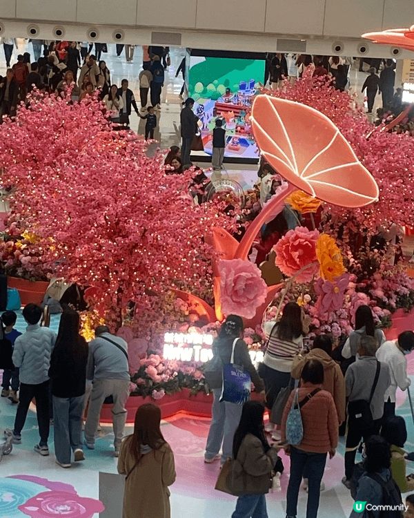 沙田新城市廣場的節日氣氛濃厚，打卡裝飾花團錦簇，遊人眾多，熱...
