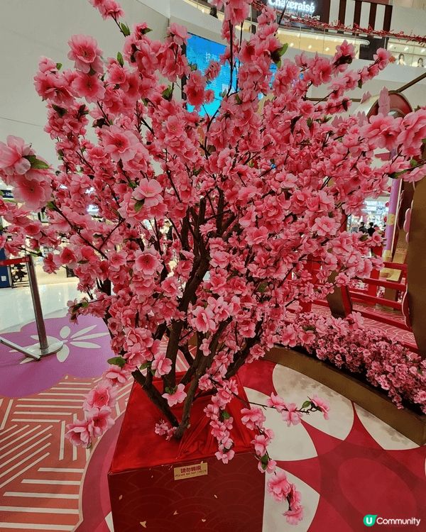 想增添新年好氣氛🧧最適合食榮華餅家的賀年糕點, 寓意步步高陞...