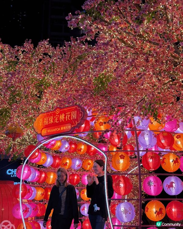 Weekend 拍拖去黃埔天地啦～粉紅桃花運爆棚！🌸✨