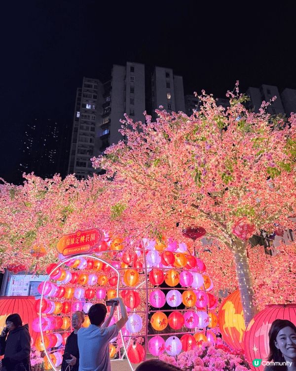 Weekend 拍拖去黃埔天地啦～粉紅桃花運爆棚！🌸✨