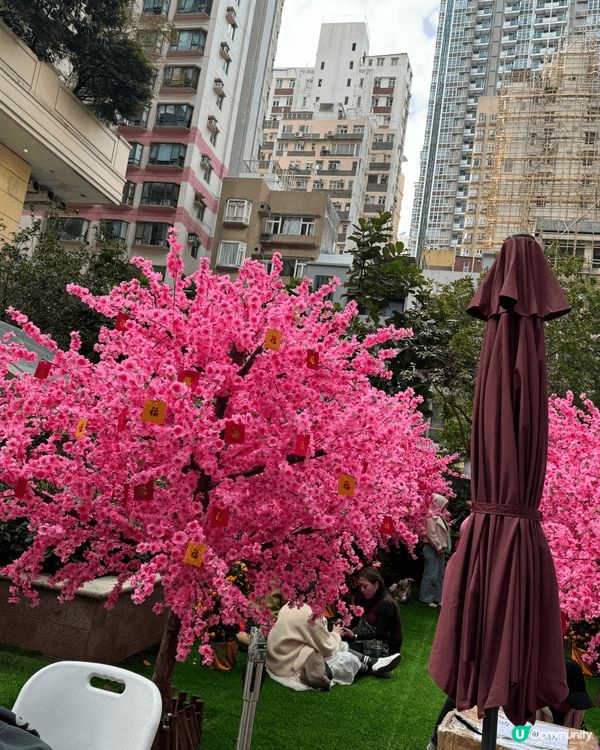 灣仔利東街於1月29日至3月15日舉行「燈海桃林賀新歲」，以...