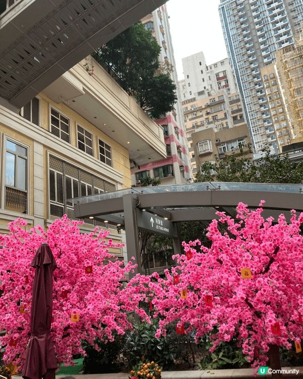 利東街新年市集又黎啦，成條街充滿賀年氣氛非常之靚同熱鬧，大家...