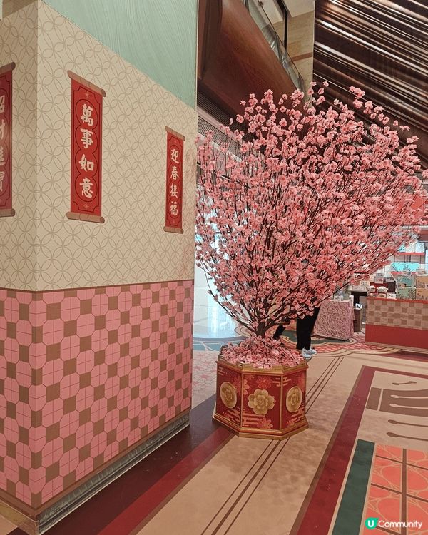 呢個係德福廣場既市集，介紹紅A與香港回顧，仲有好多膠凳堆砌而...