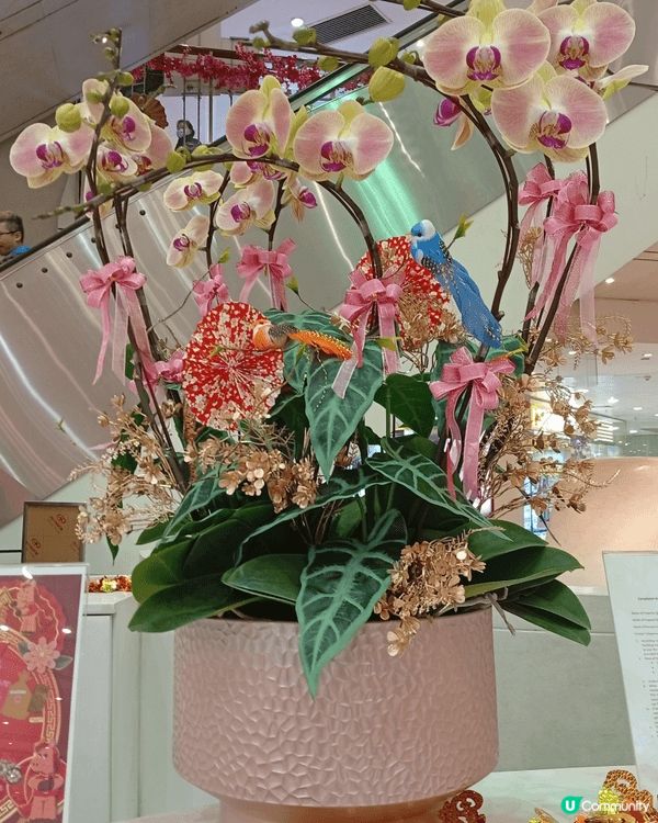 農曆新年裝飾@海怡廣場