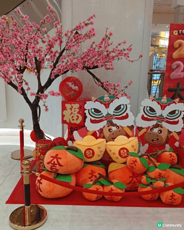 農曆新年裝飾@海怡廣場
