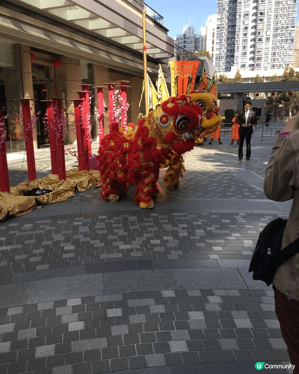 新春期間，屋苑擧辦了新年新氣象舞獅表演，真的很熱閙，大家睇得...