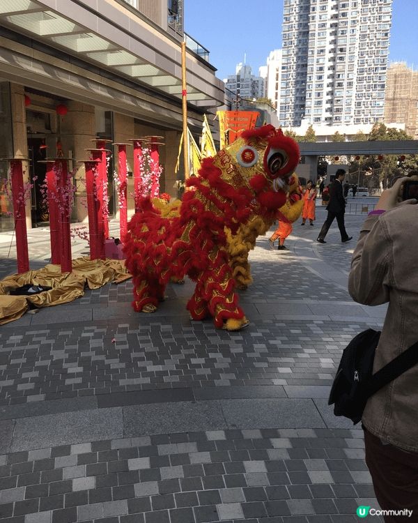 新春期間，屋苑擧辦了新年新氣象舞獅表演，真的很熱閙，大家睇得...