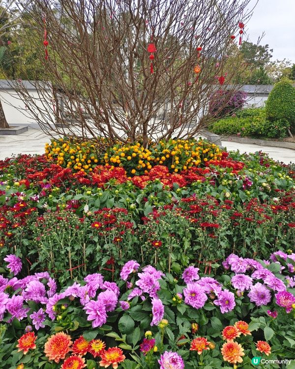 沙田新城市和沙田公園的花卉裝飾非常別緻， 非常近沙田站交通方...