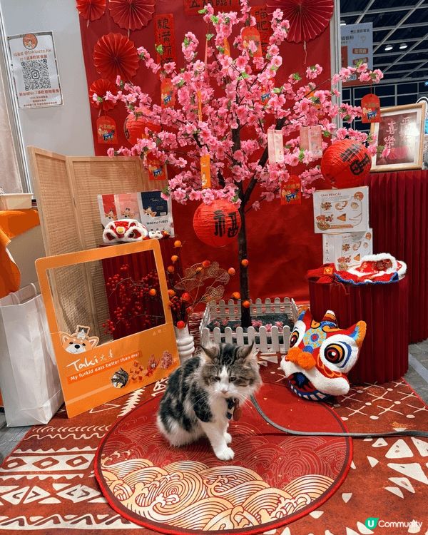 背景以鮮紅色為主，佈滿花形裝飾，上面寫有「福」、「春」、「喜...