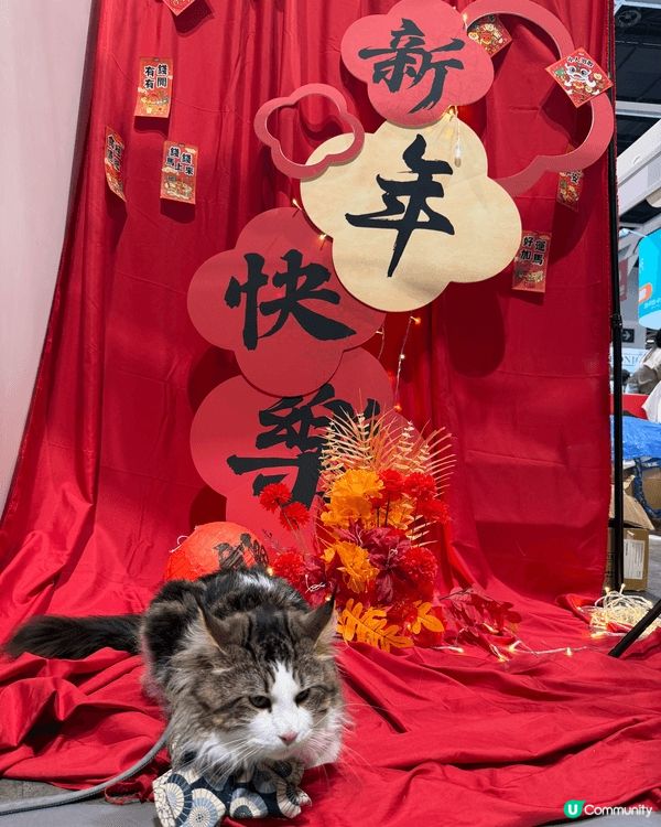 背景以鮮紅色為主，佈滿花形裝飾，上面寫有「福」、「春」、「喜...