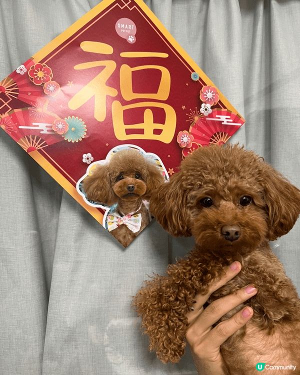 今年無乜新年嘅打卡相同未食賀年食品😂