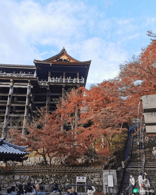京都清水寺座落於音羽山之上，秋季正值紅葉季，與周圍茂密的紅葉...