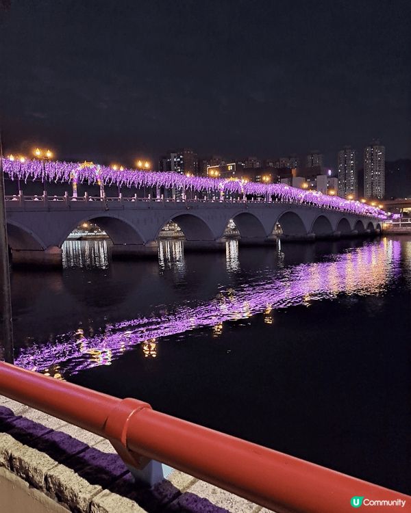 沙田城門河燈海隧道長廊，浪漫的燈海場景，配合新年元素投影，不...