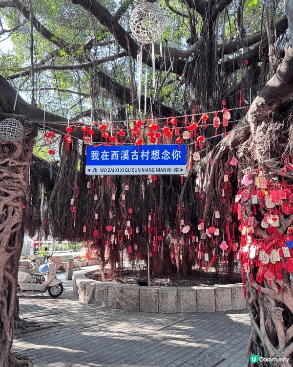 臨近新年同個女周圍去玩，