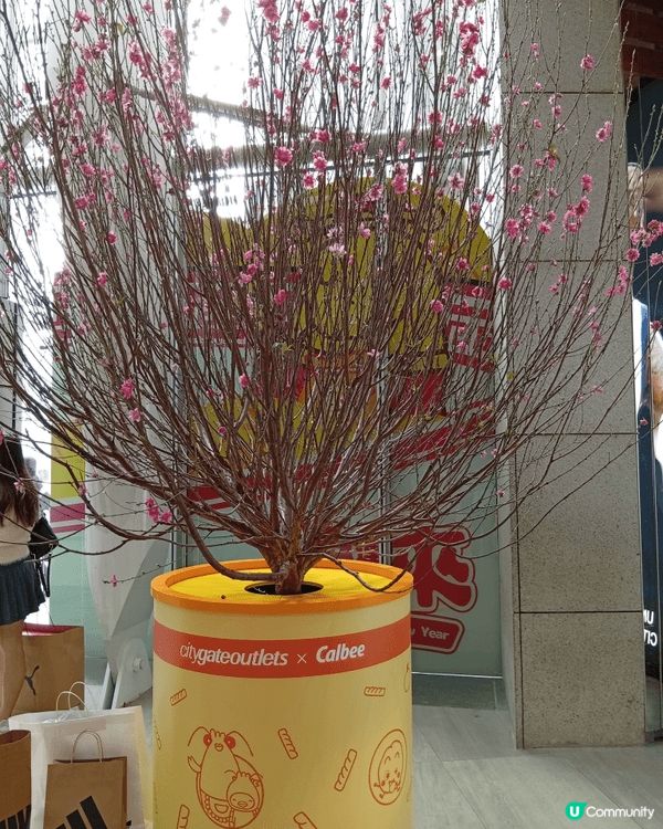 各位朋友一定品嚐過卡樂B薯片！農曆新年期間，東薈城名店倉與日...