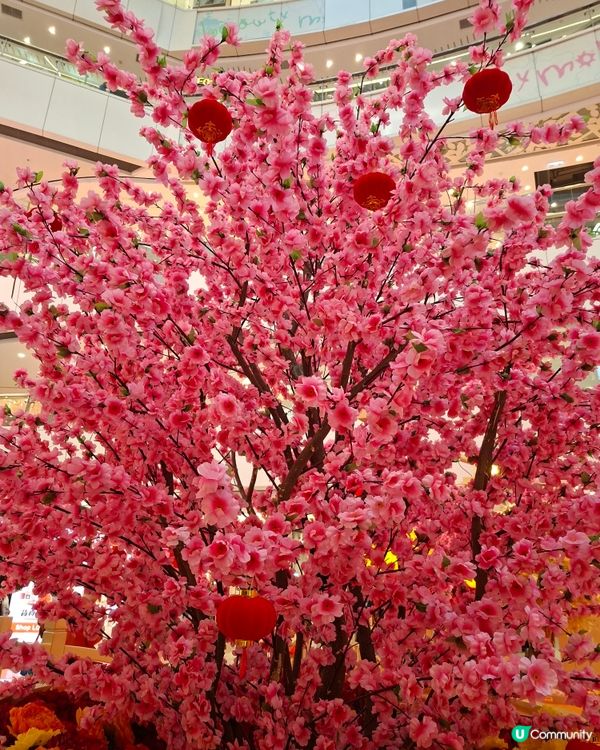 黃金滿屋賀新春