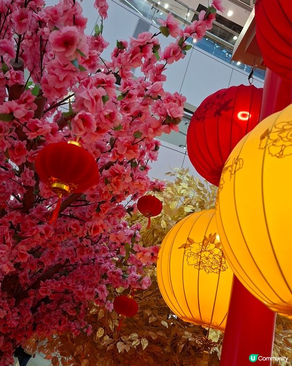 黃金滿屋賀新春