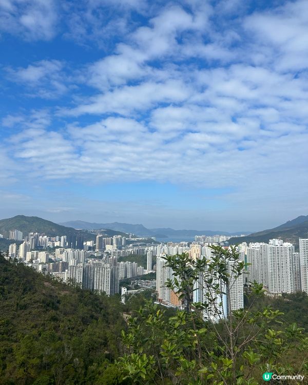 🚶🏽‍♀️輕鬆快閃尋找吊鐘花🌸