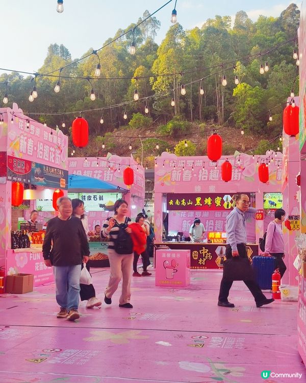 🛍️🧧年貨掃貨攻略！蓮塘年宵平靚正！🧧🛍️