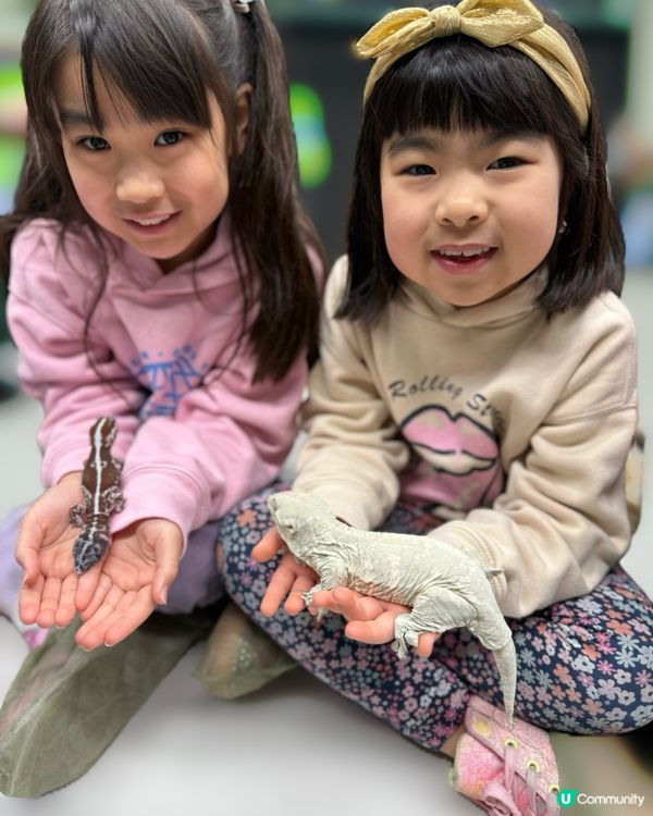 【小探險家出動！】同小動物嘅親密奇遇記 🦎🐹