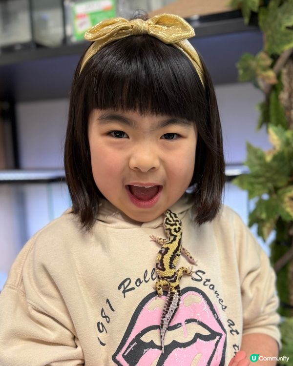 【小探險家出動！】同小動物嘅親密奇遇記 🦎🐹