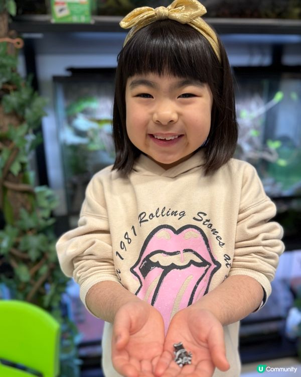 【小探險家出動！】同小動物嘅親密奇遇記 🦎🐹