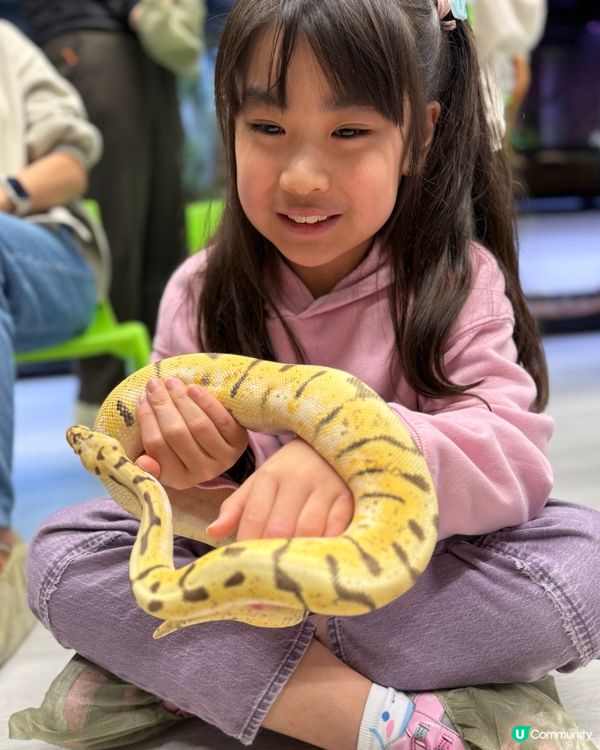 【小探險家出動！】同小動物嘅親密奇遇記 🦎🐹
