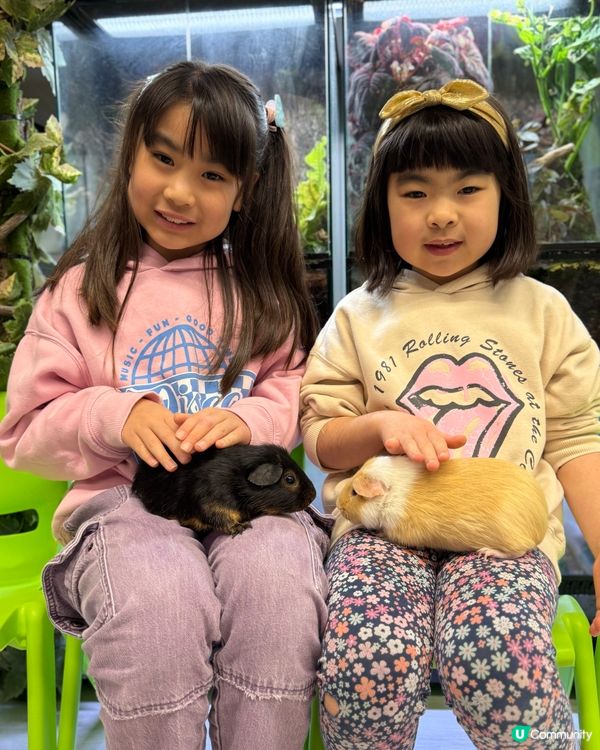 【小探險家出動！】同小動物嘅親密奇遇記 🦎🐹