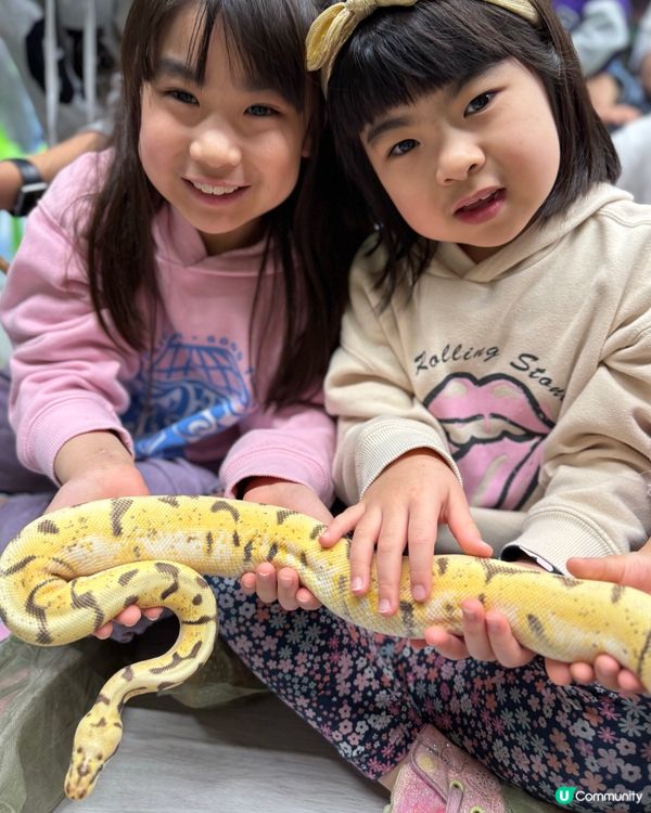 【小探險家出動！】同小動物嘅親密奇遇記 🦎🐹